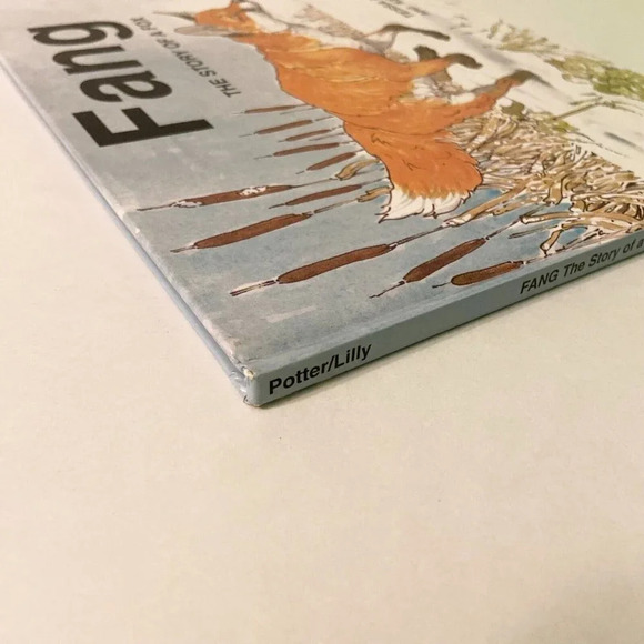 Vintage 1996 Fang The Story of a Fox Book Tessa Potter and Ken Lilly - Picture 6 of 16